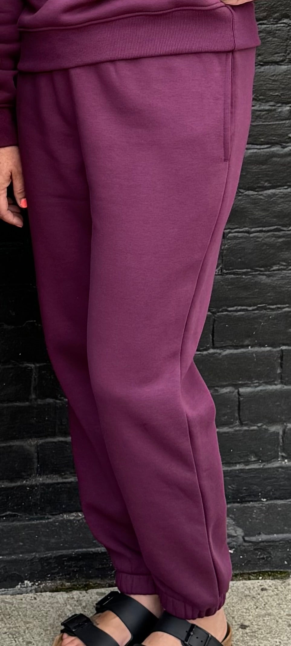 Fleece Cozy Joggers/ More Colors