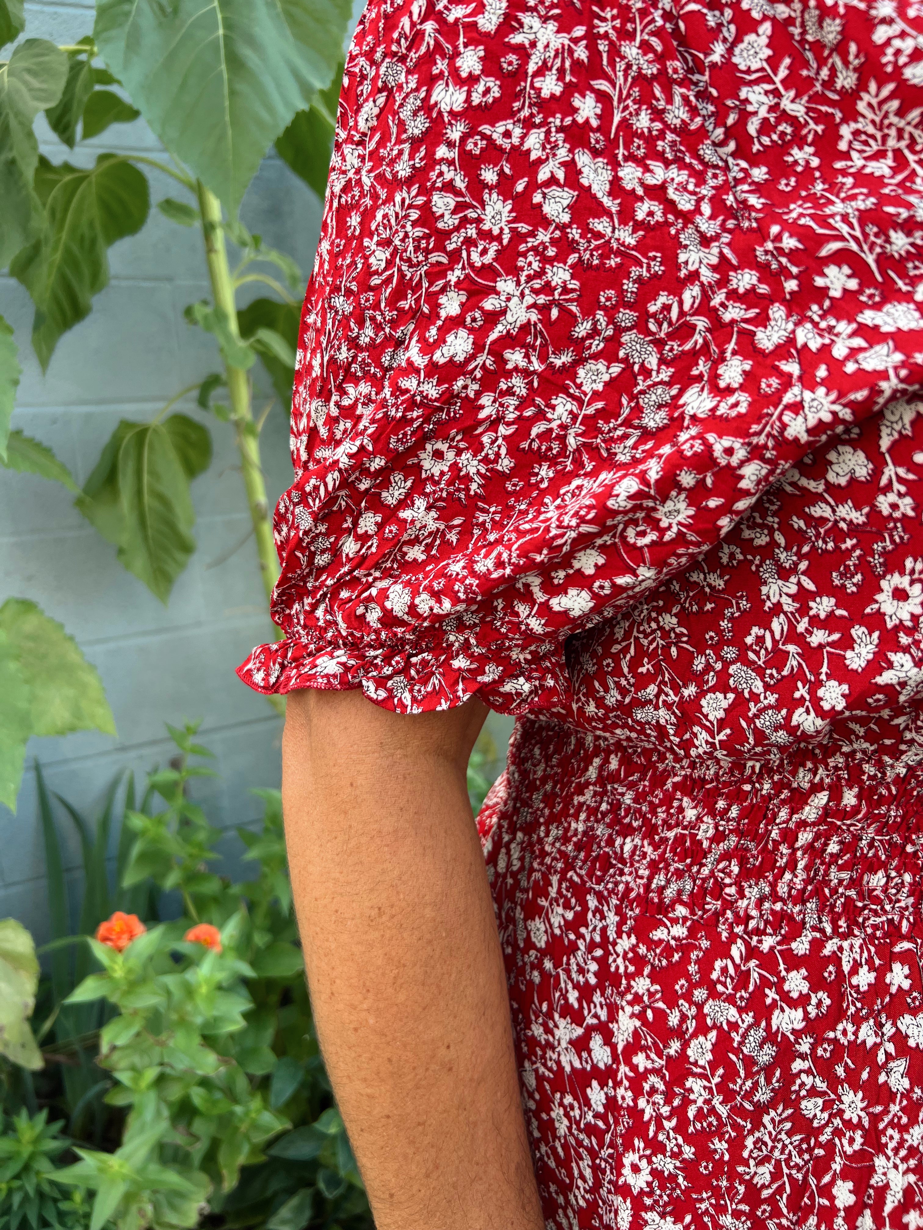 Curvy Red Floral Dress