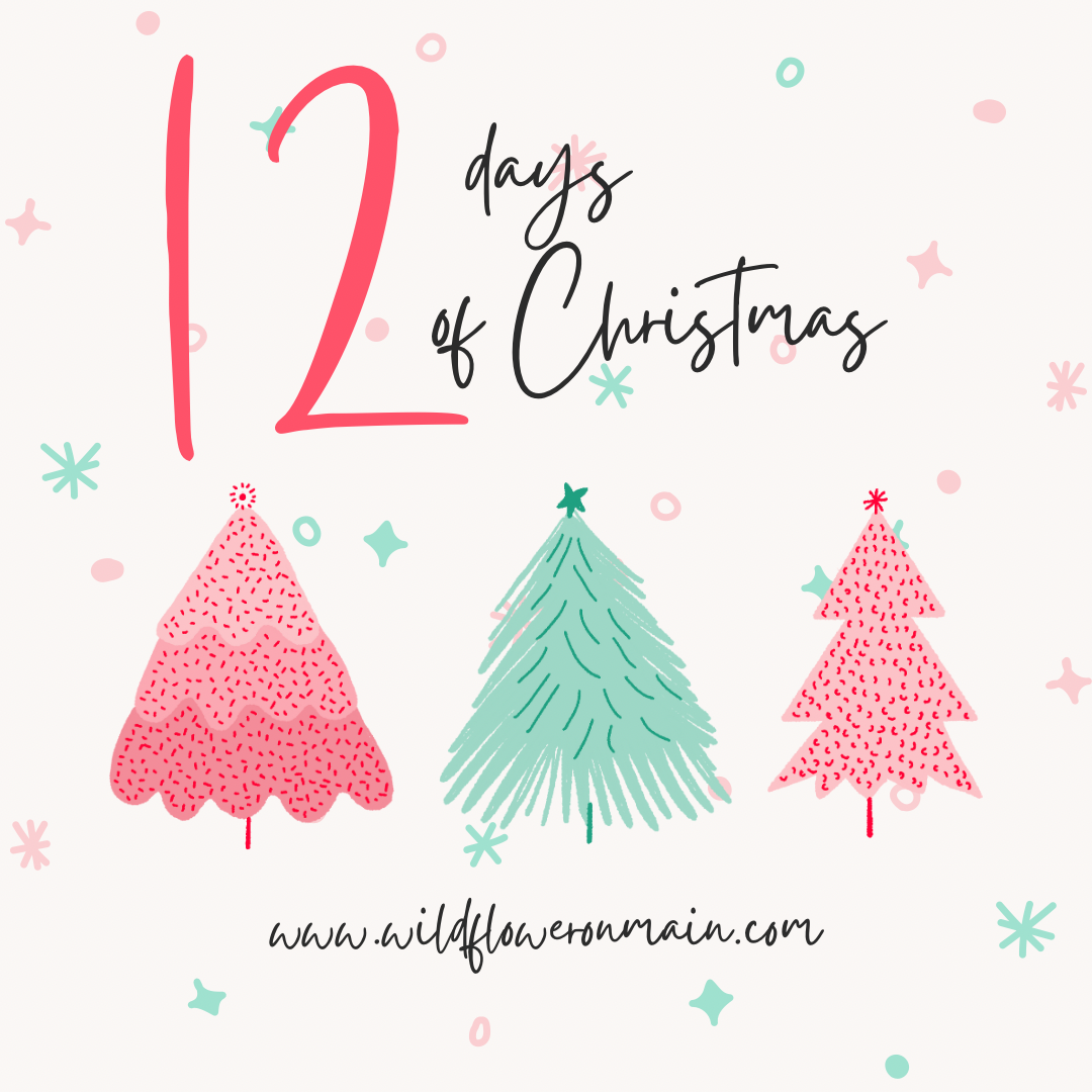 12 Days of Christmas- Each day, 1 item goes on sale!