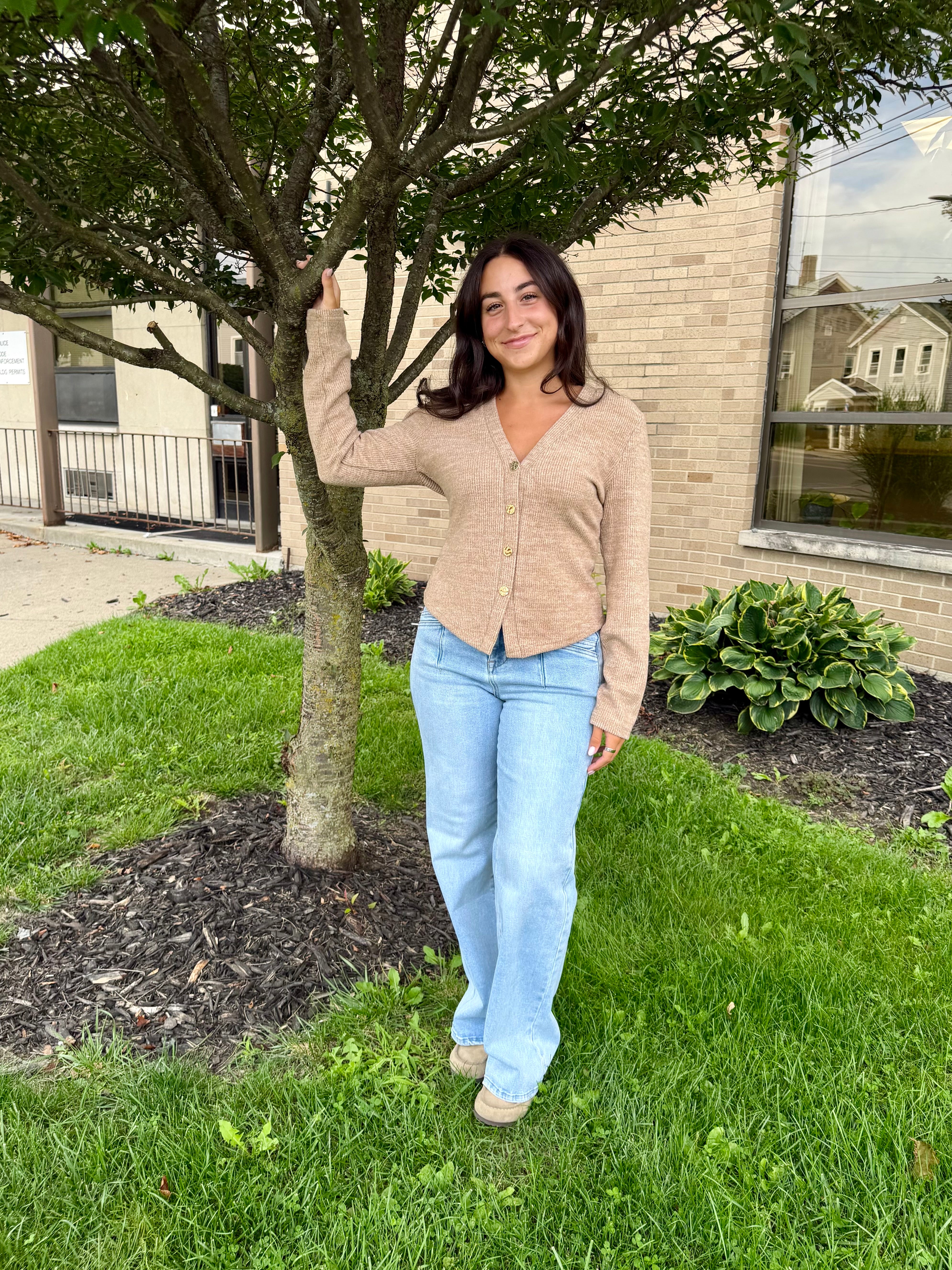 Soft Ribbed V-Neck Cardigan/ More Colors