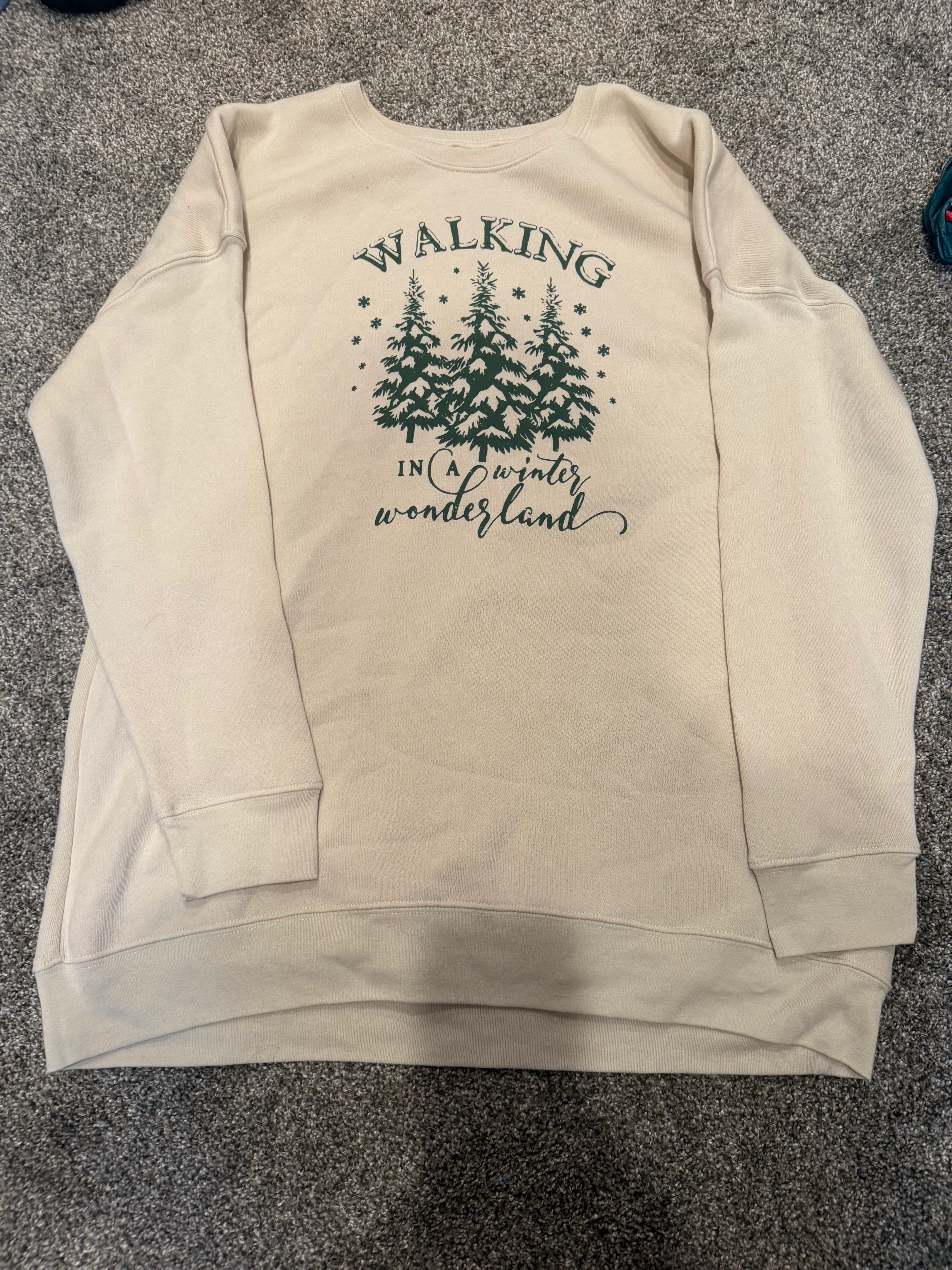 Plus Winter Wonderland Crewneck- More Colors