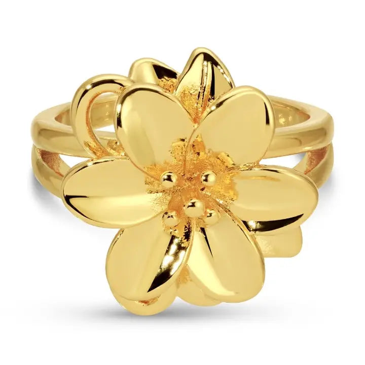 Adjustable Rings