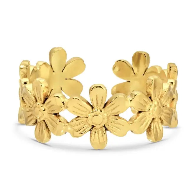 Adjustable Rings