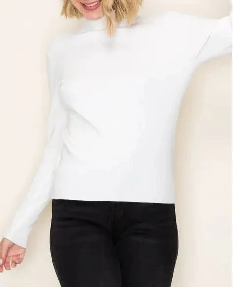 Ribbed Turtleneck Sweater/ More Colors